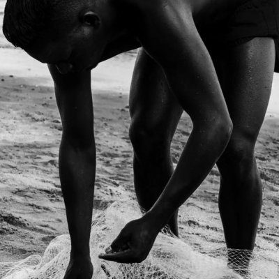 Brazilian Perspectives