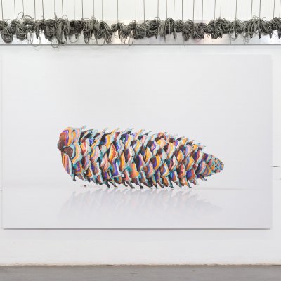 ANNE-SOPHIE WASS - trees make forests