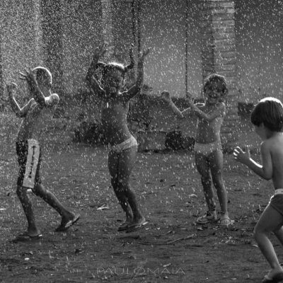 Brazilian Perspectives