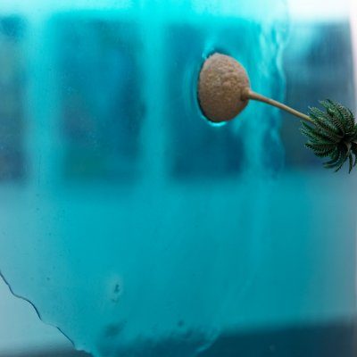 Markus Grabenwöger - Schemes