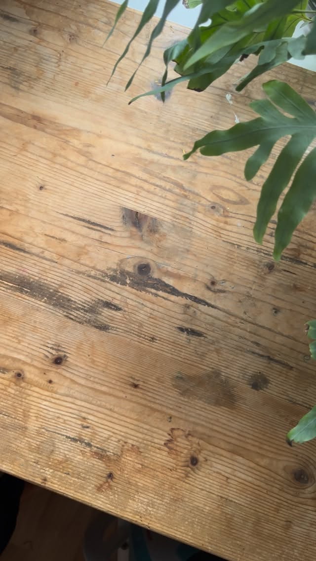 🎨=👽 It almost feels like being an alien to art by being an artist yourself....